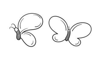 hand drawn butterfly vector