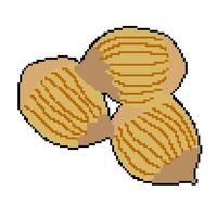pixel icon proper nutrition hazel nut vector
