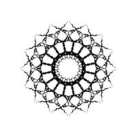 vector mandala blanco y negro aislado en blanco. elemento decorativo circular dibujado a mano vectorial.