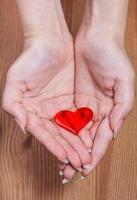 un corazón rojo en manos femeninas foto