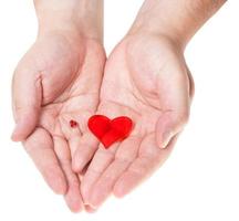 two red hearts in male handful isolated on white photo