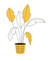 Exotic houseplant in pot flat color linear vector object. Natural home decor. Editable element. Full sized item on white. Cartoon style thin line illustration for web graphic design and animation