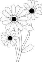 Black-eyed sunshine flower vector drawing, pencil sketch coloring page, and book for kids.