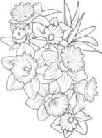 narcisos dibujados a mano, ramo de flores de narciso ilustración de boceto vectorial arte de tinta grabado colección de ramas de hojas botánicas aisladas en la página de color de fondo blanco y libros. vector