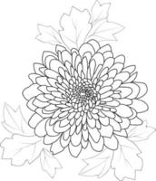 Dahlia flower line art, vector illustration, hand-drawn pencil sketch, coloring book, and page, isolated on white background clip art.