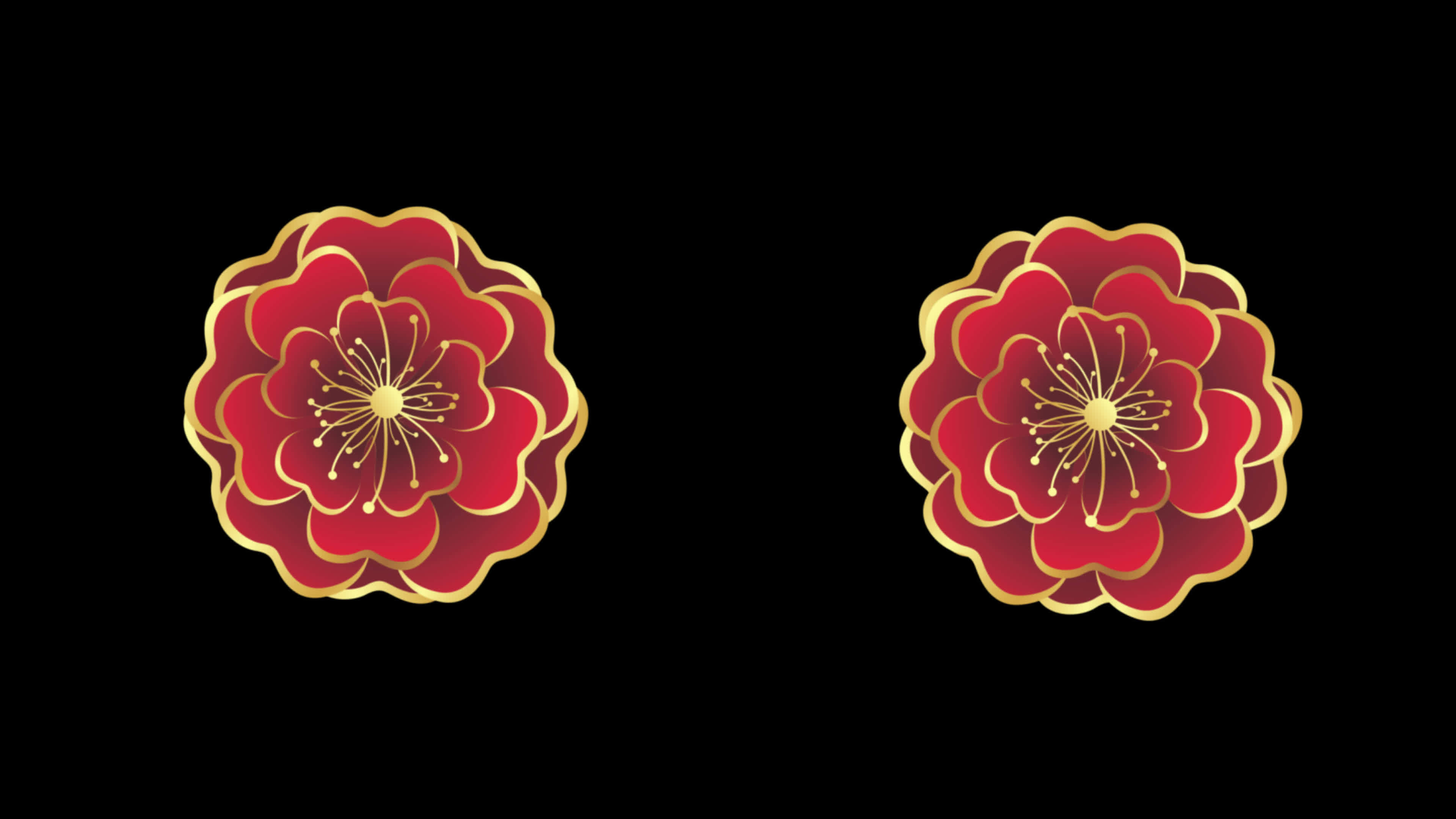 flower rotation Seamless loop animation transparent background with