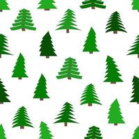 Seamless pattern with spruces on white background. Vector illustration