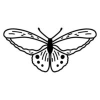 Hand drawn doodle butterfly. Vector sketch illustration, black outline art of insect for web design, icon, print, coloring page