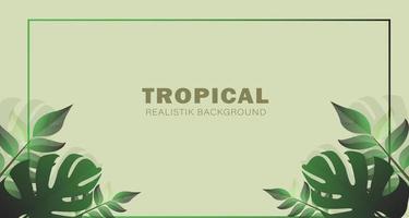 Tropical background, with an elegant leaf design vector