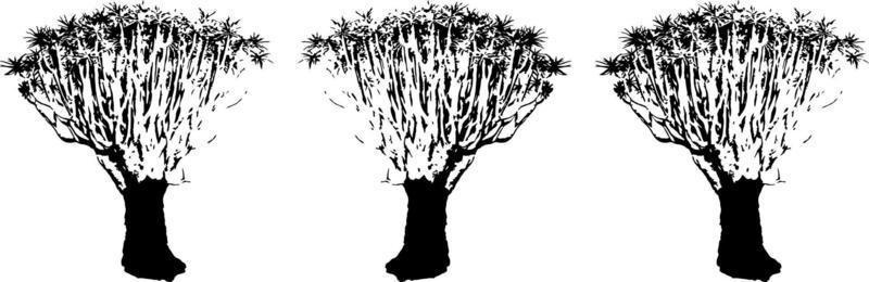 Black trees set isolated on white background. Tree silhouettes. Design of trees for posters, banners and promotional items. Vector illustration