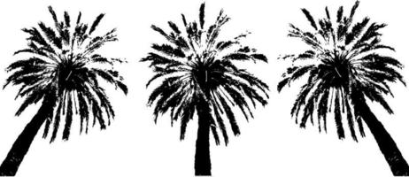 Black trees set isolated on white background. Tree silhouettes. Design of trees for posters, banners and promotional items. Vector illustration