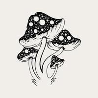 Vector line art magical mushrooms. black line vector art.