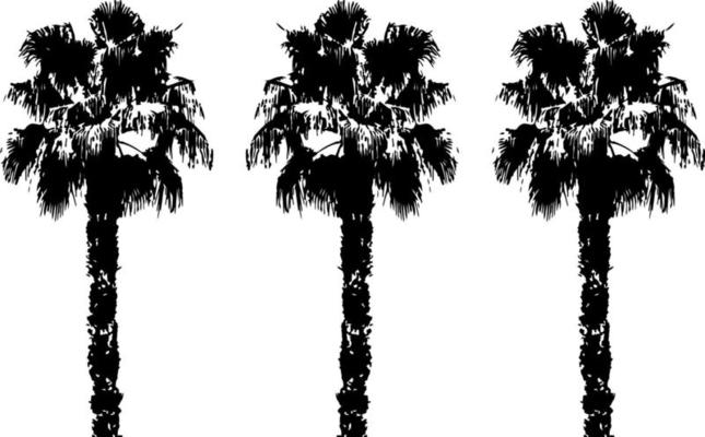 Black trees set isolated on white background. Tree silhouettes. Design of trees for posters, banners and promotional items. Vector illustration