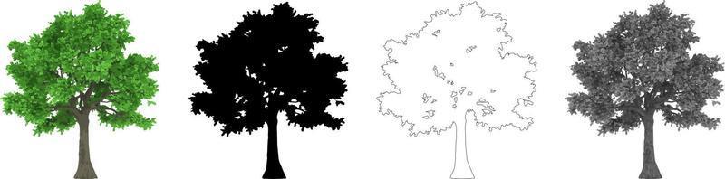 vector de árboles de colección, silueta de árbol, arte de línea de árbol sobre fondo blanco.