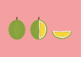 Durian with cut piece set in flat style vector