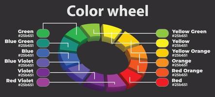 Rueda de colores detallada en 3d con nombres de colores y códigos hexadecimales rgb vector