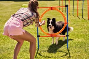 perro border collie y una mujer en un campo de agilidad foto