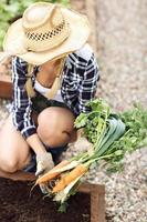 Adult woman picking vegetables from garden photo