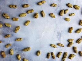 Open peanuts shot macro in studio, white wall texture background photo