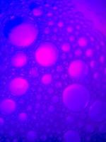 macro colorful soap bubbles gradient abstract background blue pink photo