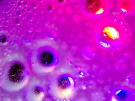 macro colorful soap bubbles gradient abstract background blue pink photo