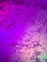 macro colorful soap bubbles gradient abstract background blue pink photo