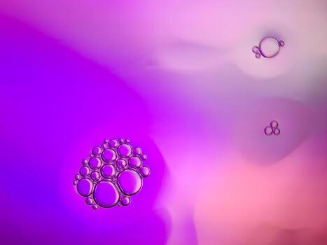macro colorful soap bubbles gradient abstract background blue pink photo