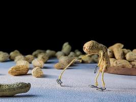 open peanuts shot macro in the studio, concept of a peanut scarecrow on the move photo