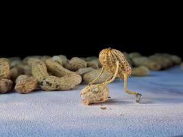 open peanuts shot macro in the studio, concept of a peanut scarecrow on the move photo