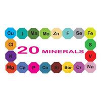 minerals microelements and macro elements, useful for human health. Fundamentals of healthy eating and healthy lifestyles. vector