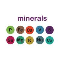 minerales microelementos y macroelementos, útiles para la salud humana. fundamentos de una alimentación saludable y estilos de vida saludables. vector
