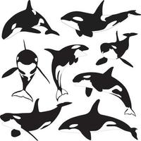 silueta de ballena orca. colección de ballenas asesinas vector