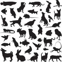 Pet animal home silhouette vector