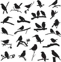 Bird and twig silhouettes vector