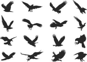 Eagle silhouette set vector