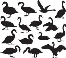 swan silhouette set vector