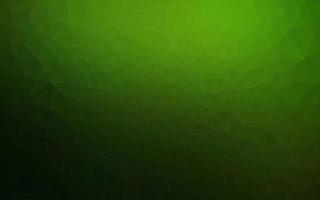 Light Green vector polygon abstract backdrop.