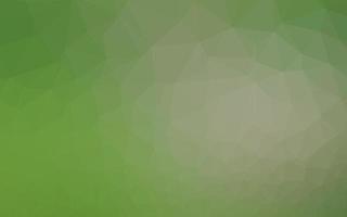 Light Green vector polygonal template.