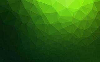 Light Green vector low poly texture.