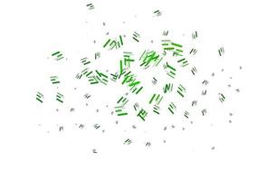 Light Green vector backdrop with long lines.