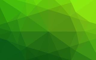 Light Green vector abstract polygonal cover.