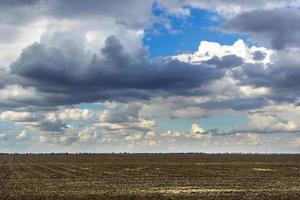 Weather change over wheat field field on a dark cloudy sky, weather change. Sun rays photo