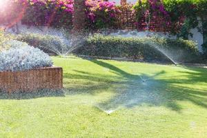 aspersor en el jardín regando el césped. céspedes de riego automático foto