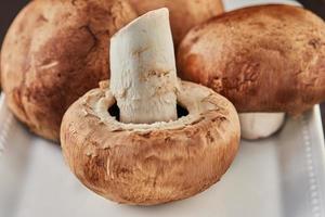 Portobello mushrooms on white plate in home kitchen photo