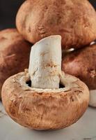 Portobello mushrooms on white plate in home kitchen photo