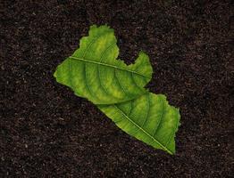 Liberia map made of green leaves on soil background ecology concept photo