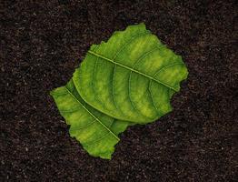 Lesotho map made of green leaves on soil background ecology concept photo