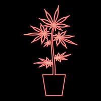 Neon pot of marijuana Cannabic in pot Hemp red color vector illustration image flat style