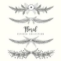 Hand drawn floral divider borders collection with branches and flower vector