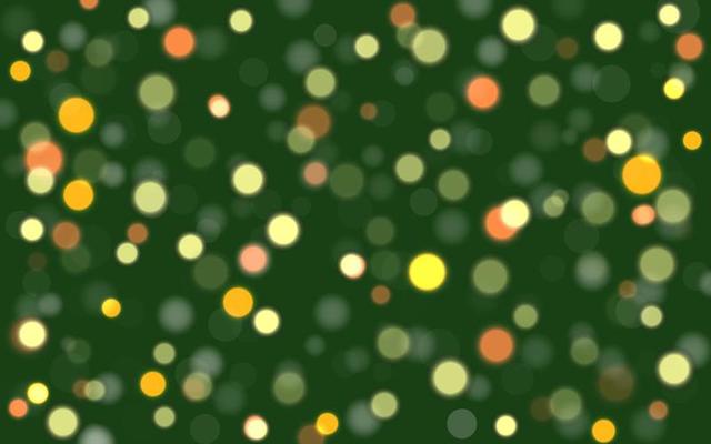 Christmas pine forest foliage vector background. Green garden trees wedding invitation. Bokeh lights art.